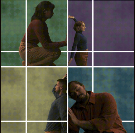 visualization of Anfractuous 