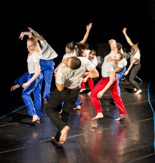 Dance Faculty Concert 2014, Chor: Salk