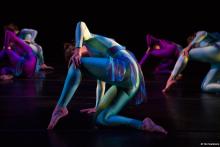 Gracia Imboden's Loch Ness, Dance Majors 2016