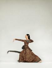 Erin in brown dress lunging with arm out 