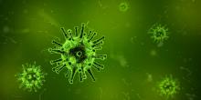 Virus 