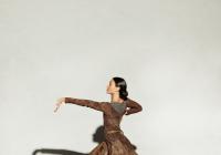 Erin in brown dress lunging with arm out 