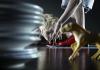 Lincoln and Seiters, "an attic an exit"  photo RJ Muna
