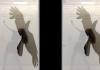 A figure is captured dancing in front of lockers with an image of an eagle layered over them