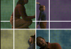 visualization of Anfractuous 