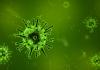 Virus 