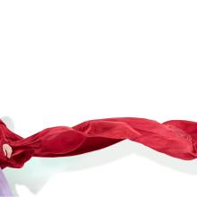 Jamie Johnson in Air for the G String By Doris Humphrey.  Photo by Steve Korn