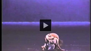  YouTube link to Chamber Dance Company: Selection from Louis Falco's 